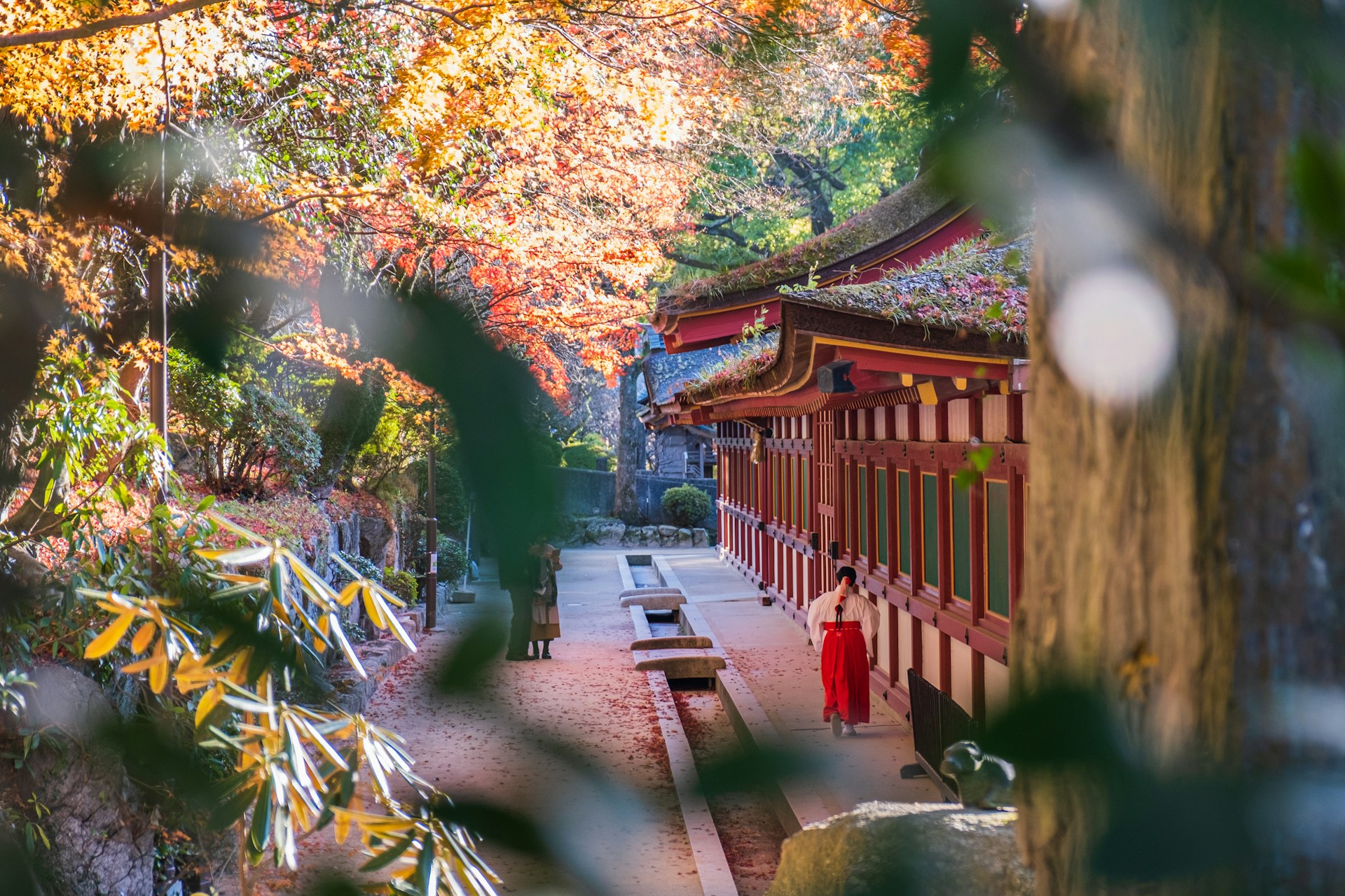 Dazaifu