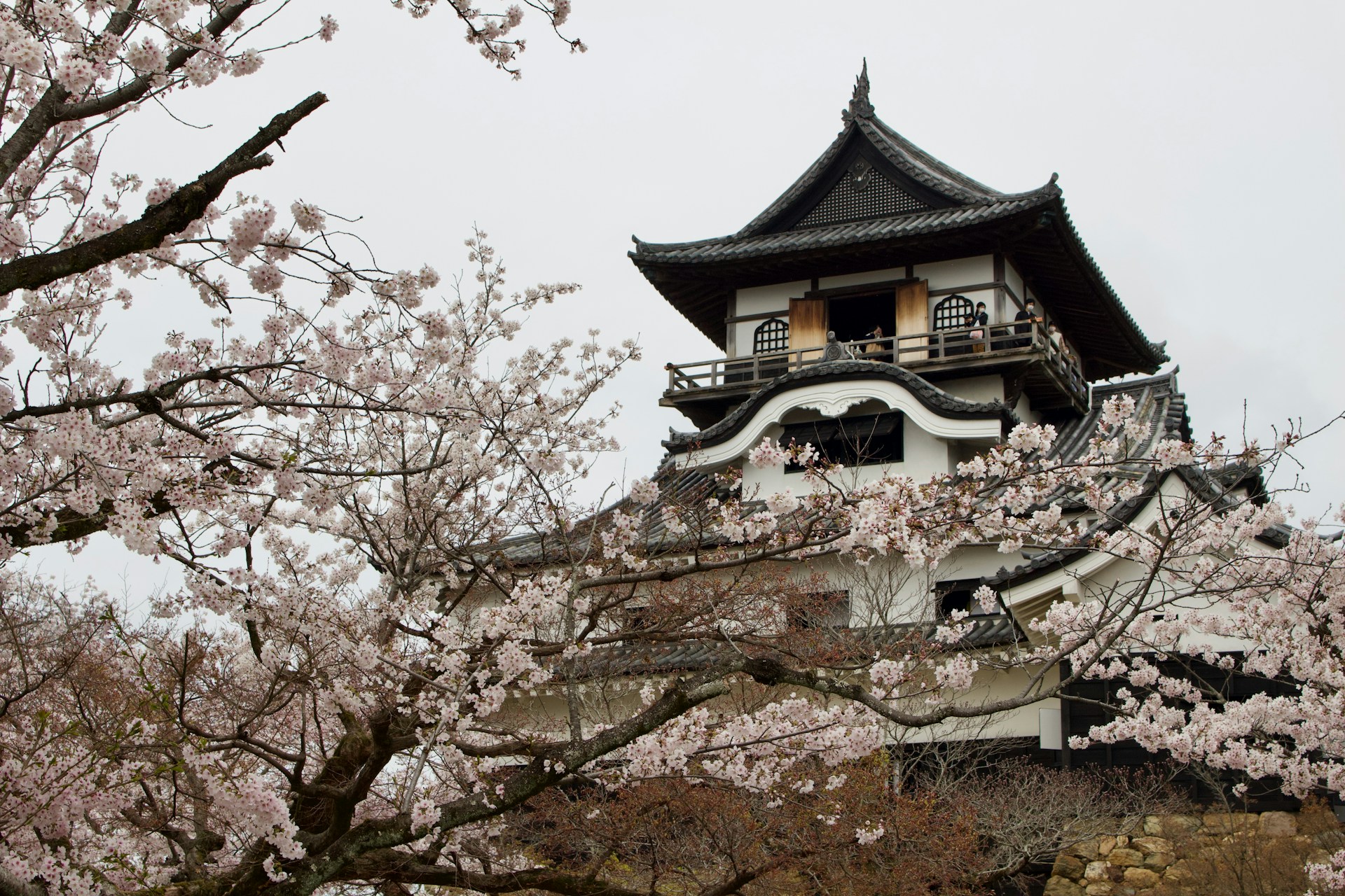 Inuyama