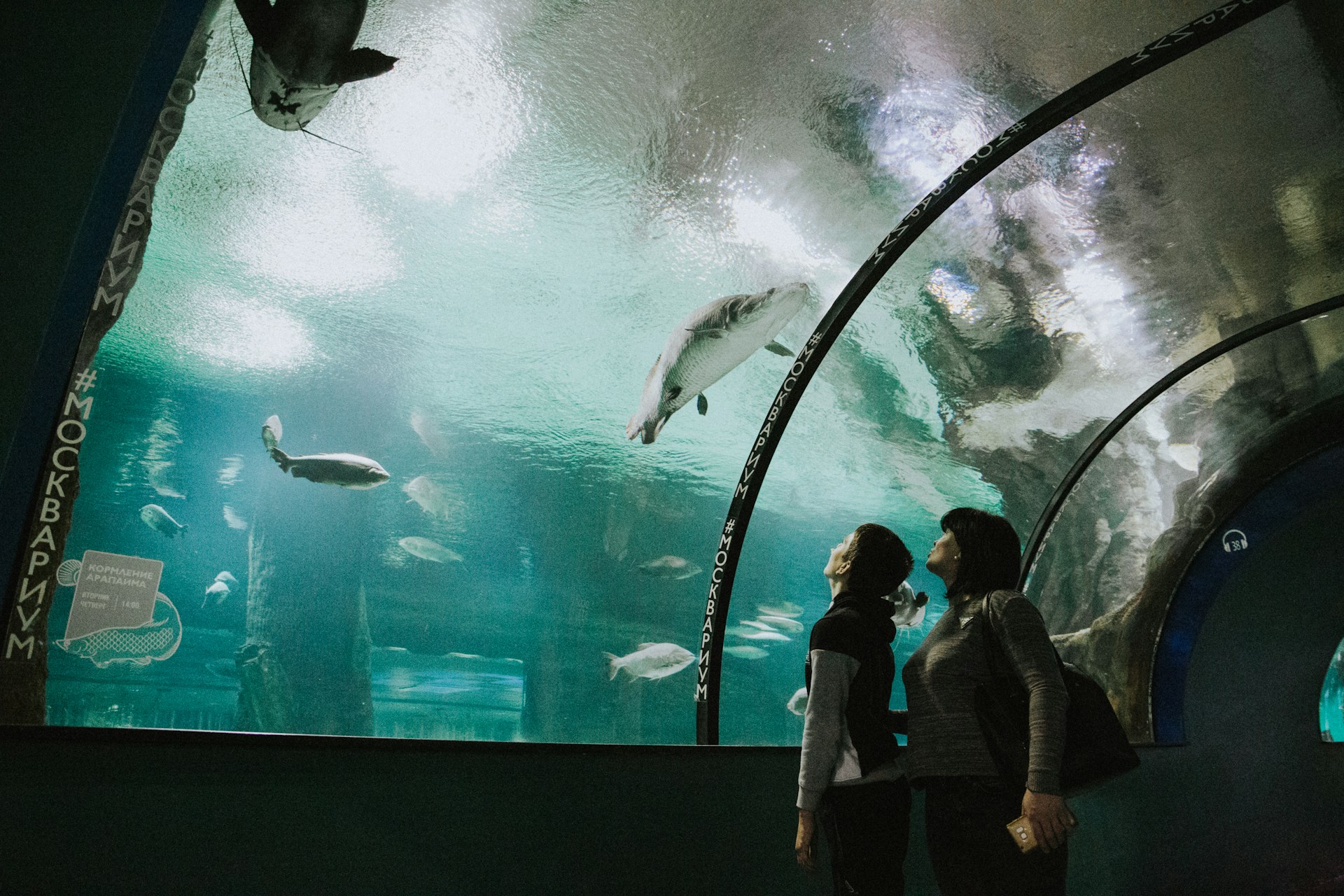 Osaka Aquarium Kaiyukan