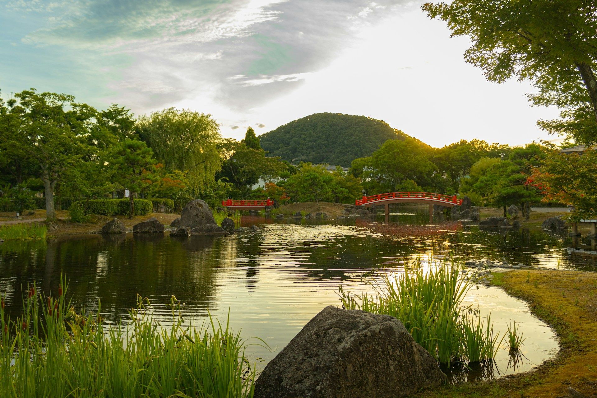 Fukui