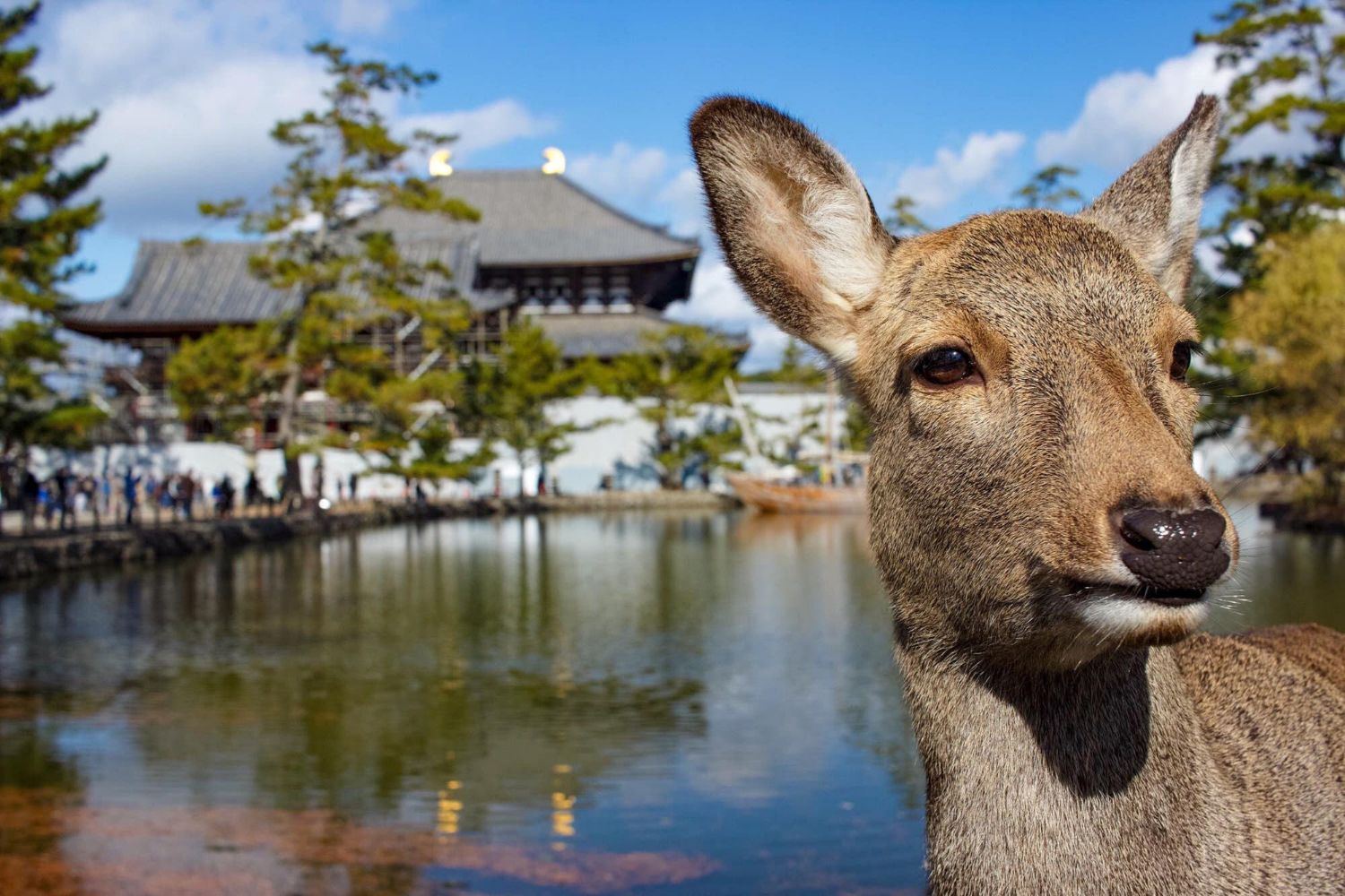 Nara