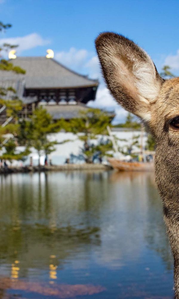 Nara