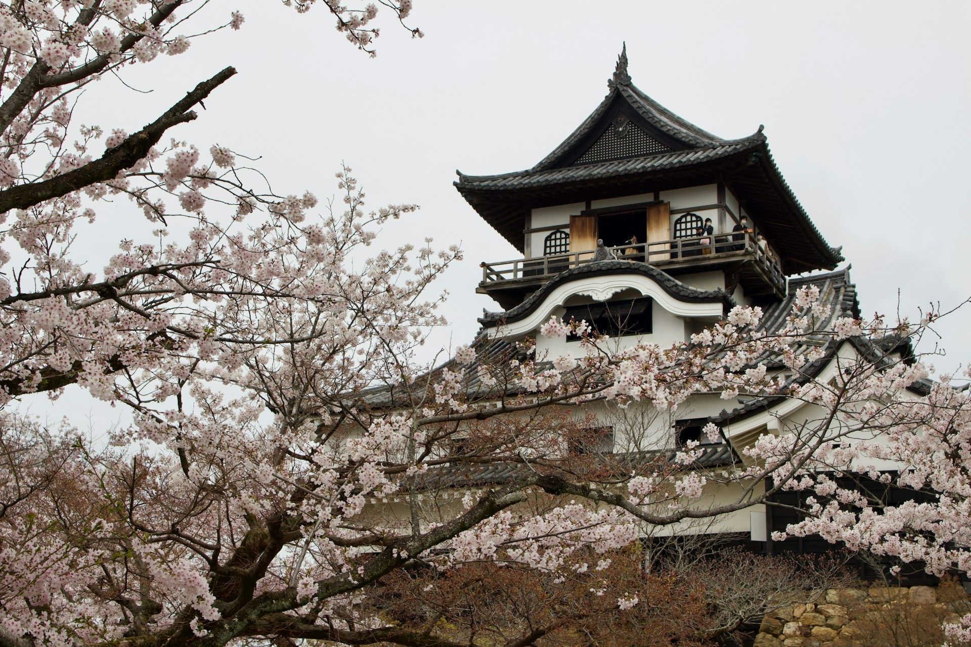 Inuyama