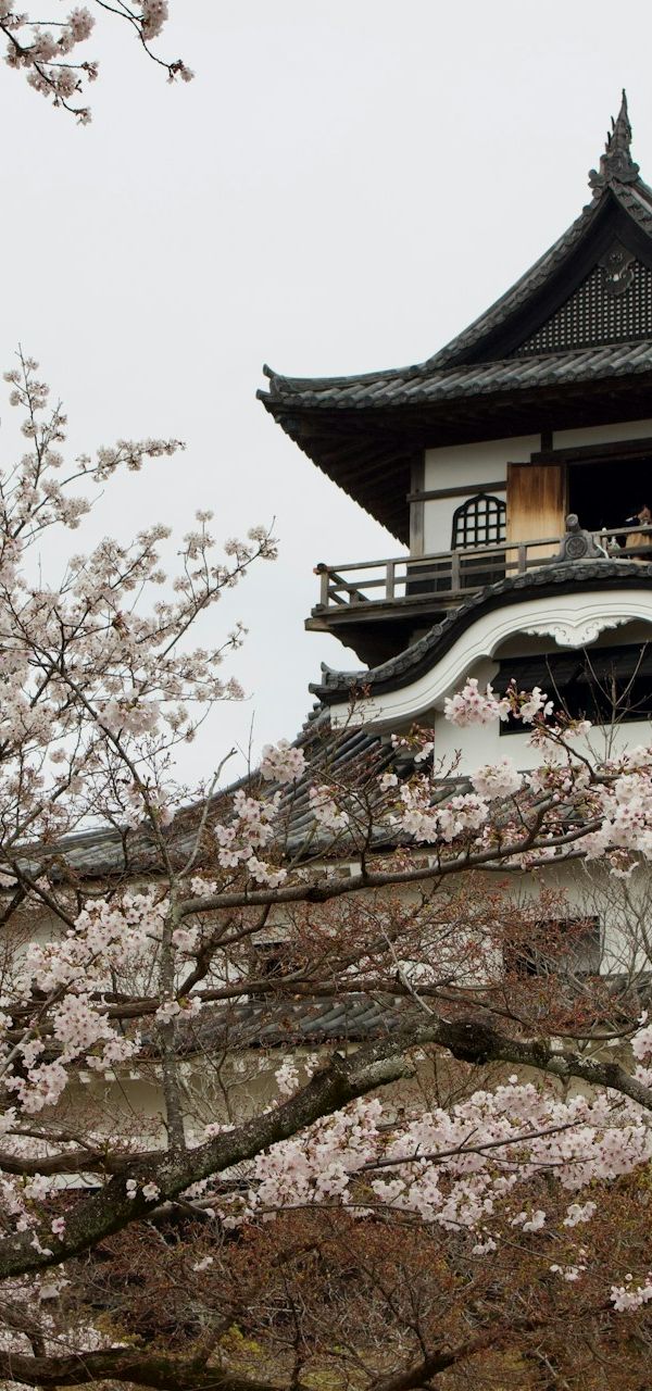 Inuyama