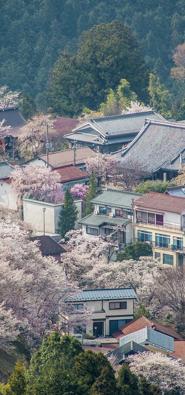 Yoshino