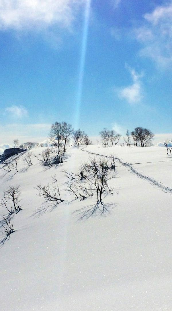 Niseko