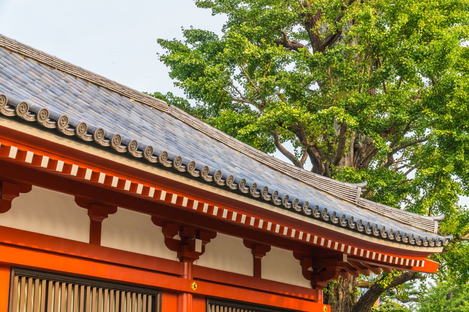 Yamate (Bluff)