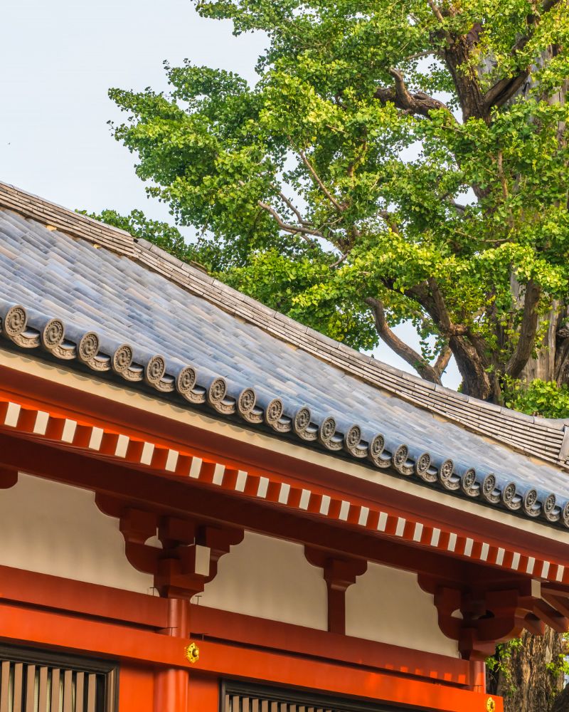 Yamate (Bluff)